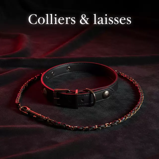 Colliers & Laisses