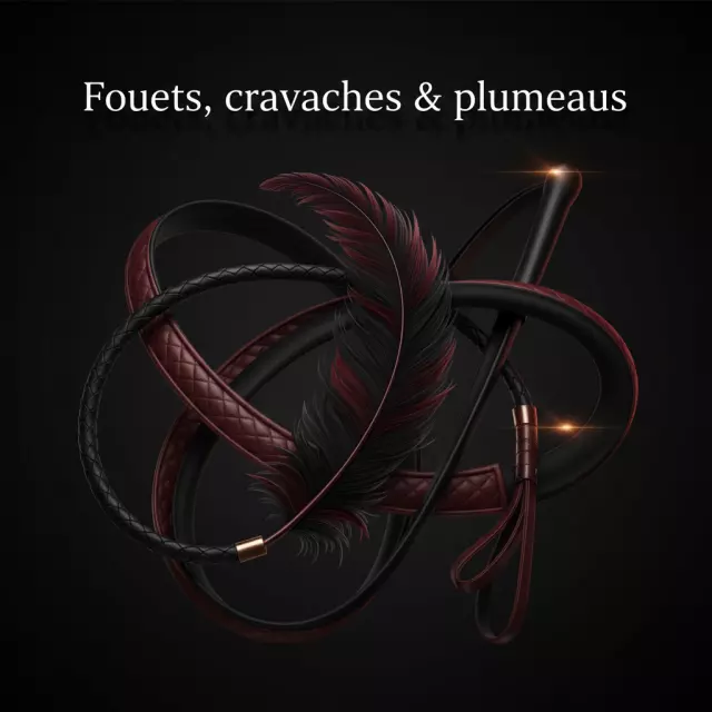 Fouets, Cravaches & Plumeaux