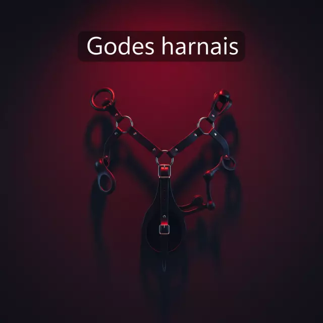 Godes Harnais