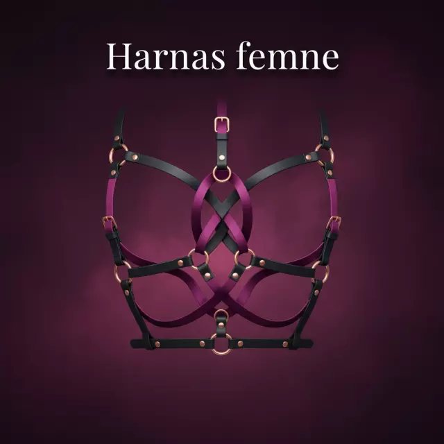Harnais Femme