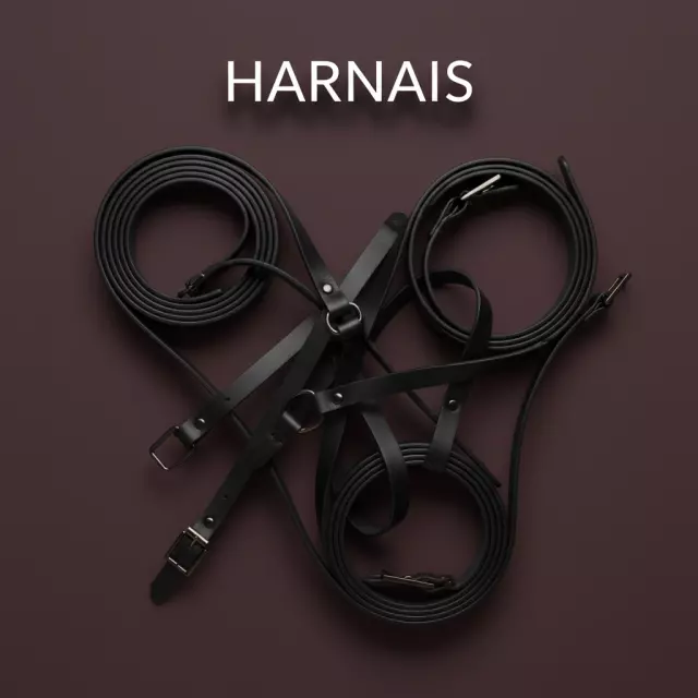 Harnais
