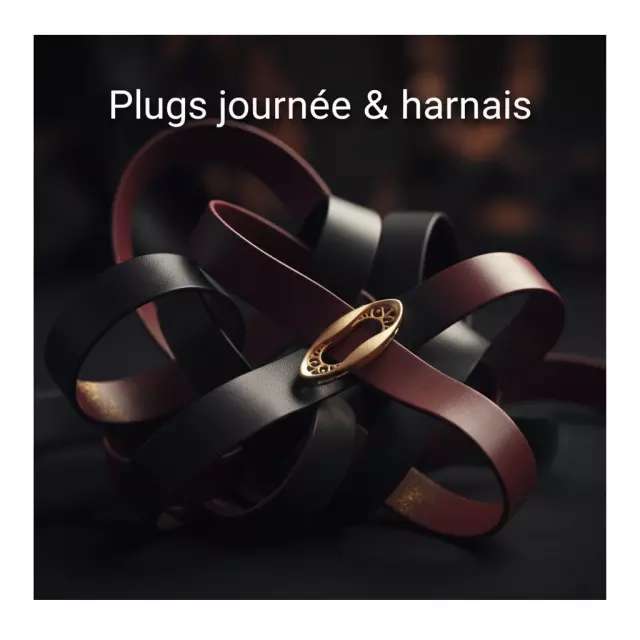 Plugs Journée & Harnais