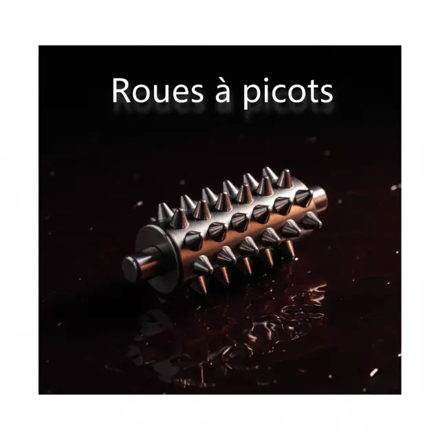 Roues à Picots