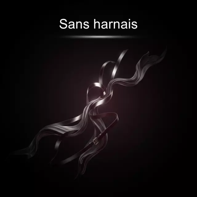 Sans Harnais