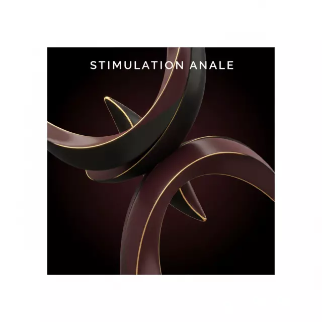 Stimulation anale