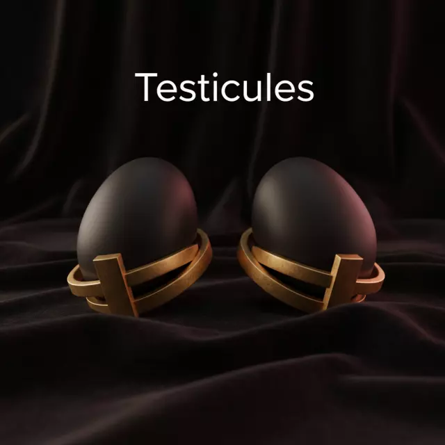 Testicules