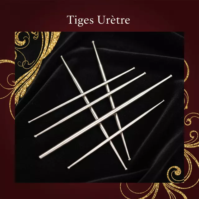 Tiges Urètre