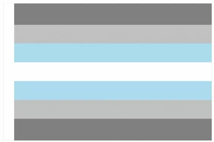 Demi-Boy Flagge 90 x 150cm