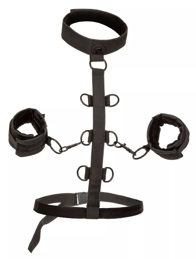 SM-Fesseln Collar Body Restraint Boundless