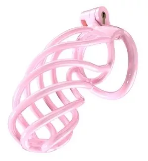 Tortille kuis XXL 12,5 x 3,4 cm roze
