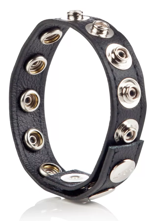 Leder Penisring 8 Druckknöpfe