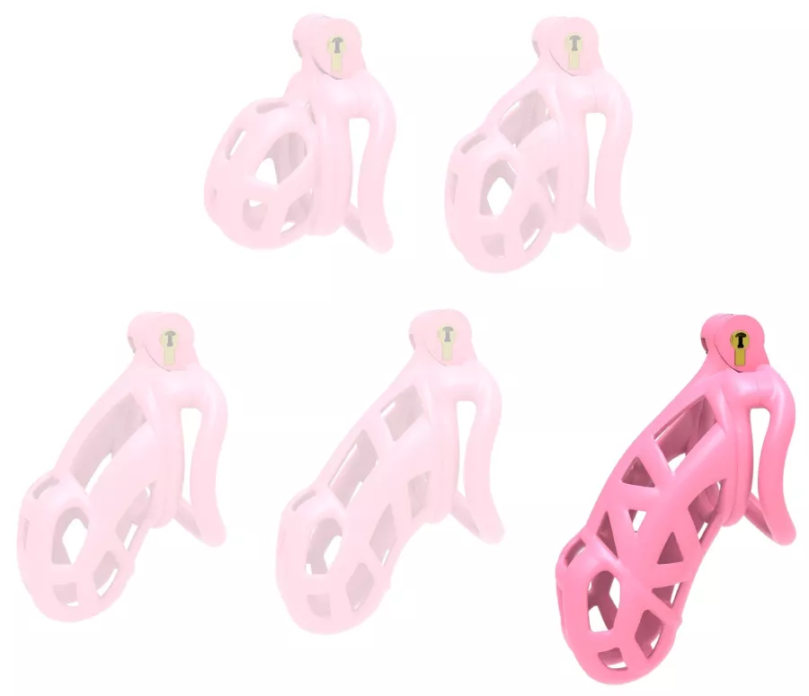 Aspic XXL Pink Cage 11.5 x 3.3cm