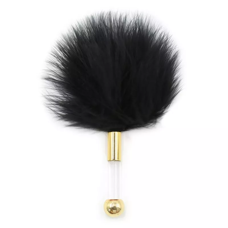 Feder Golden Clear 15 cm Schwarz