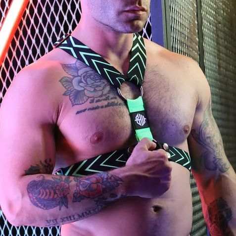 Harness Dickmatized Schwarz-Neon-Grün