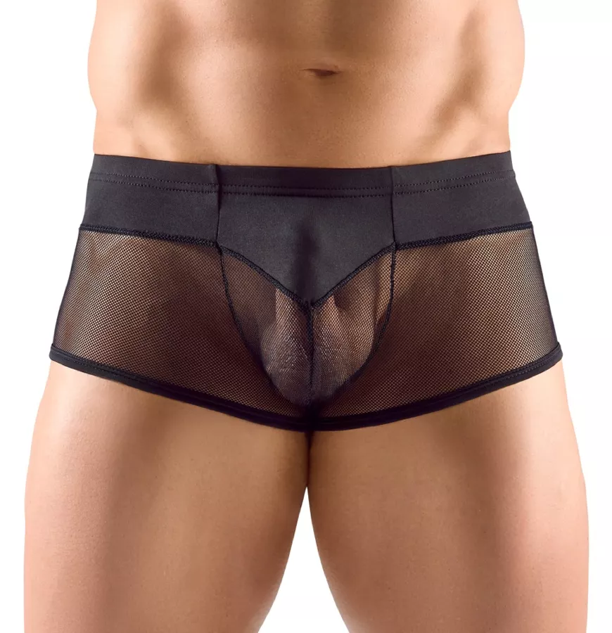 Feiner Boxer Netho Schwarz
