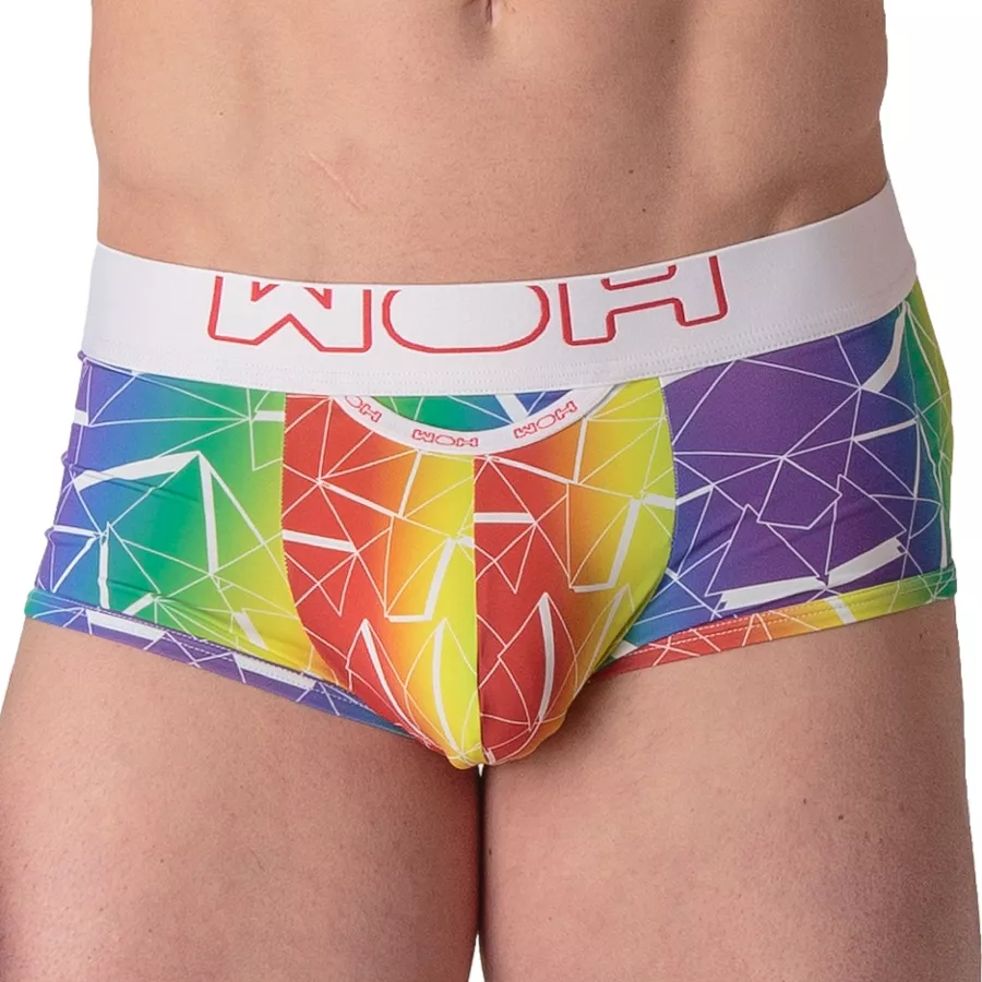 Boxer Sexy Fun Woh Regenbogen
