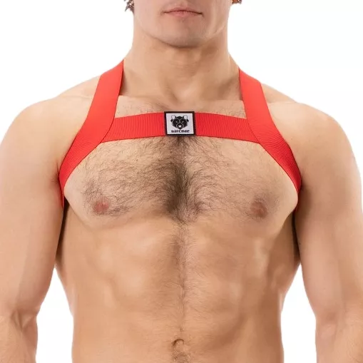 Elastisches Harness Leonsh Rot