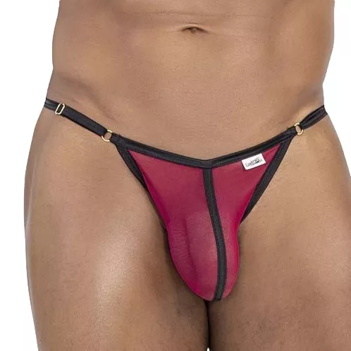 String Oshi Bordeaux