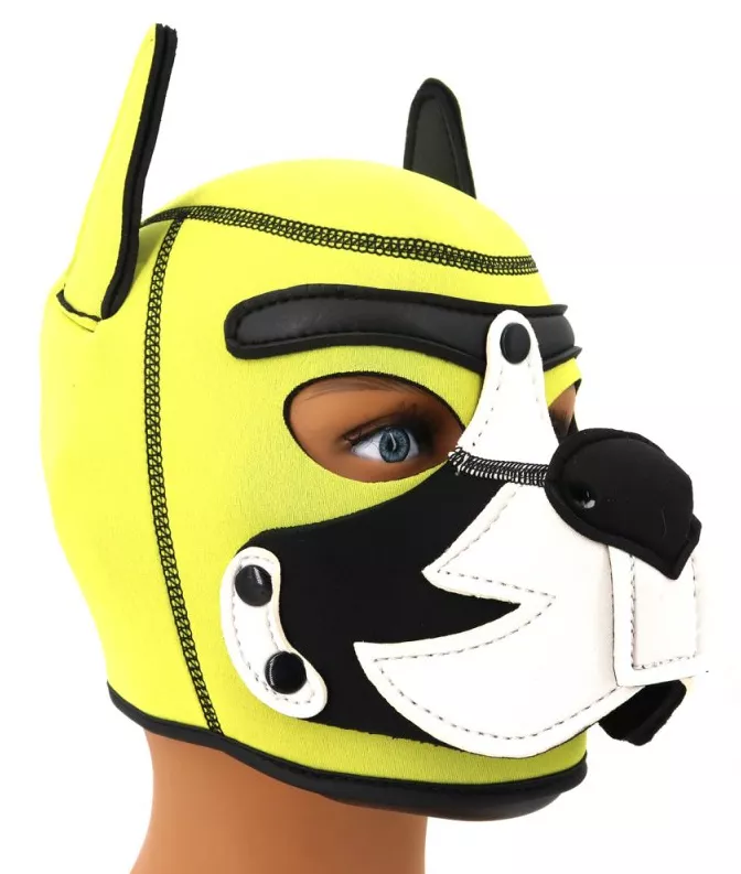 Puppy Fox Haube Neopren Gelb-Weiß