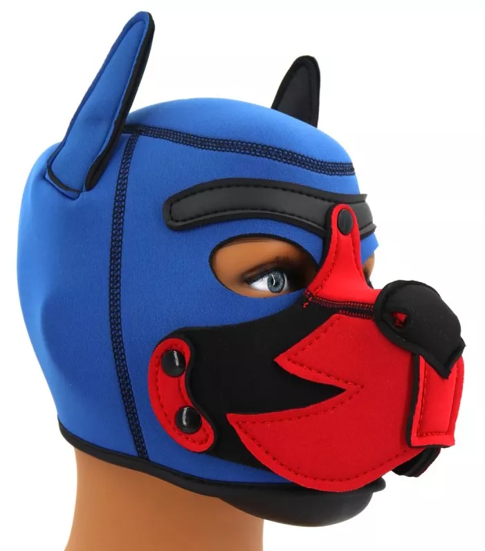 Puppy Fox Haube Neopren Blau-Rot