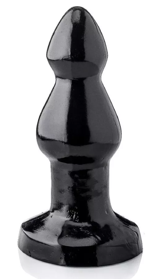STEGOCEROS 22 x 8.5 cm