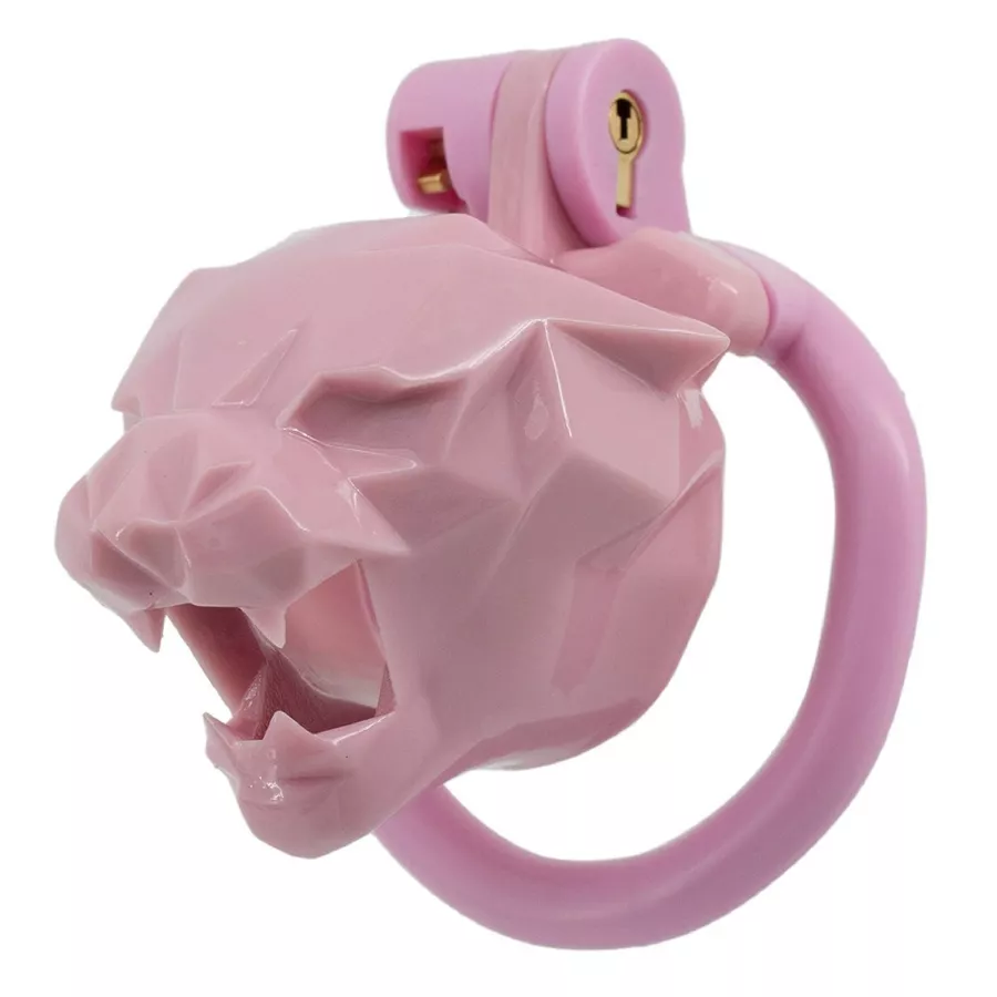 Käfig Leox 4.5 x 3.5cm Rosa