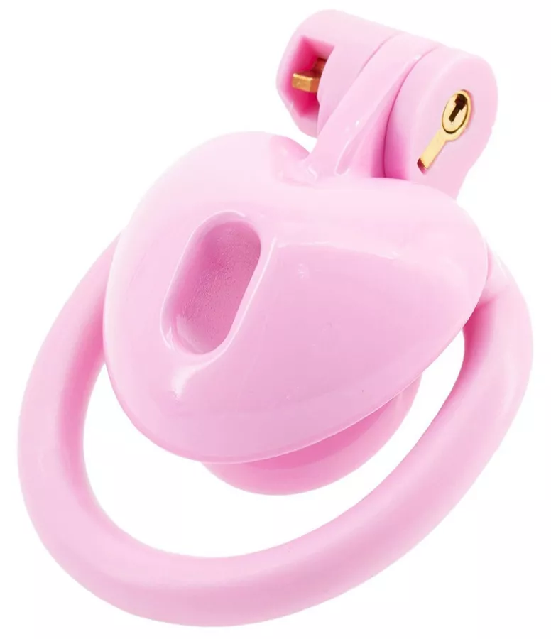 Käfig Mini Heart 0.5 x 2.6 cm Rosa