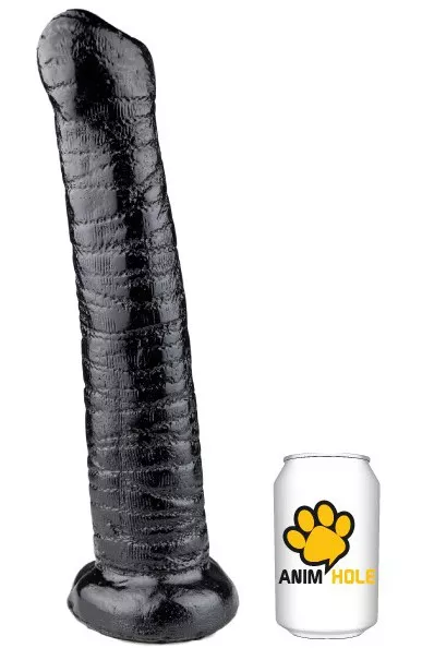 TRUNK 36 x 7,5 cm