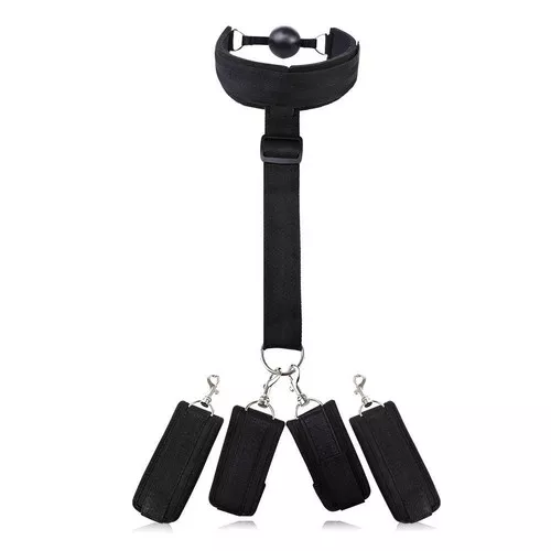 Halsband mit Knebel und Bondage-Schnüren