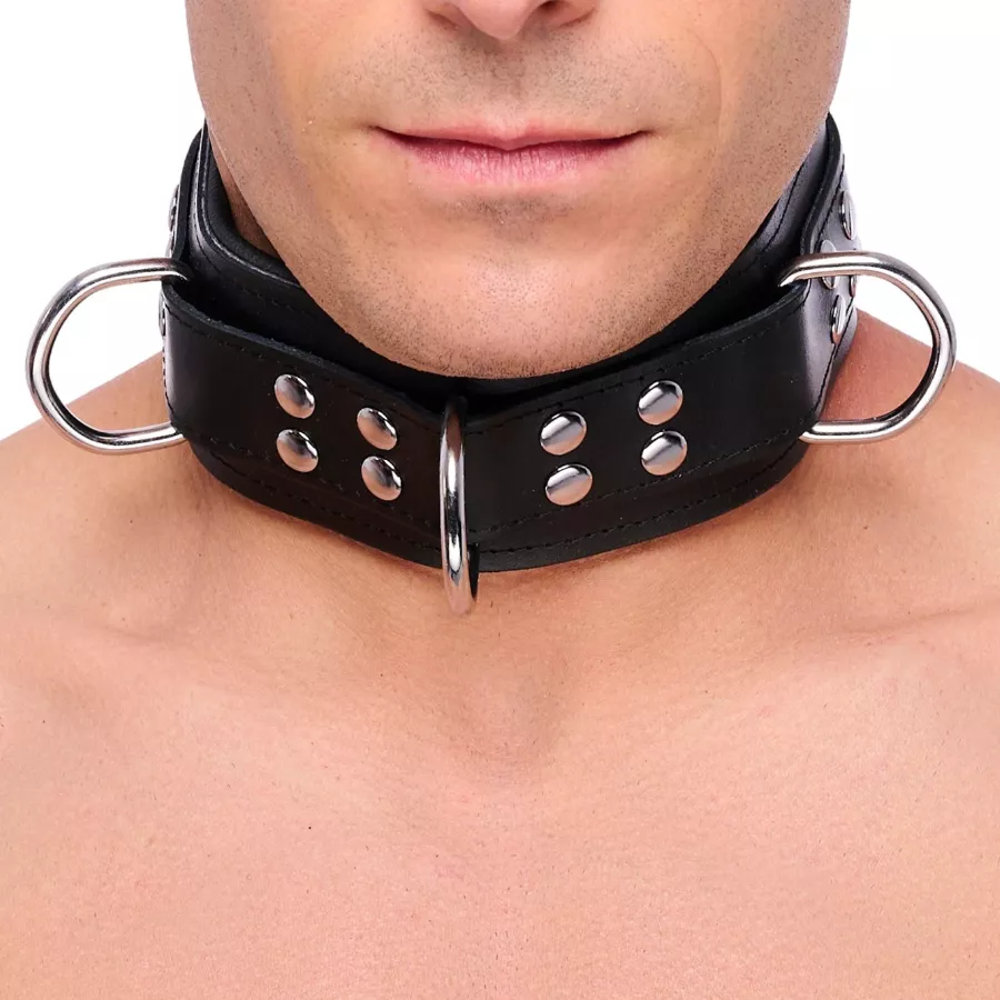 Gepolstertes Lederhalsband mit D-Ringen Schwarz