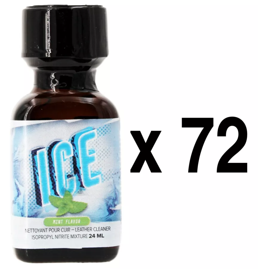 ICE Menthe 24ml x72