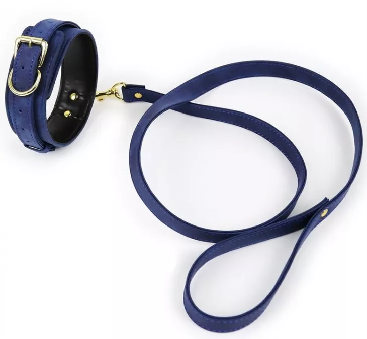 Halsband und Leine Lighty Blau