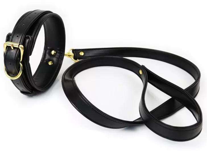 Halsband und Leine Lighty Schwarz