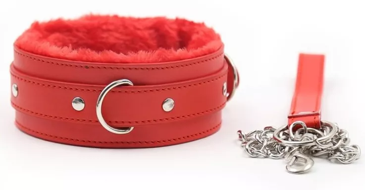 Halsband und Leine Fur Sweet Rot