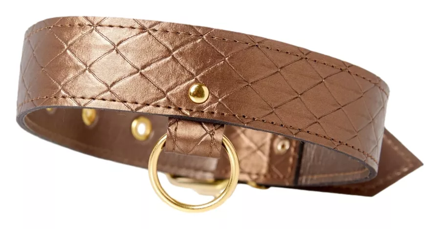 Halsband und Leine Darling Pet Bronze 1 m