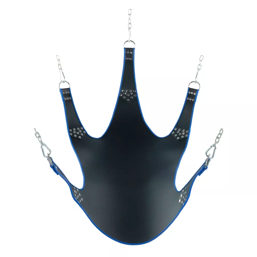 Sling aus Leder 5 Befestigungspunkte Schwarz-Blau
