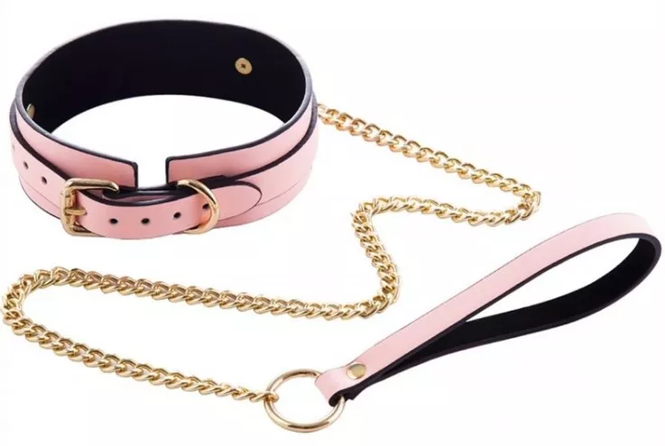 Leuchtender Halsband-Leine Luminous Rosa