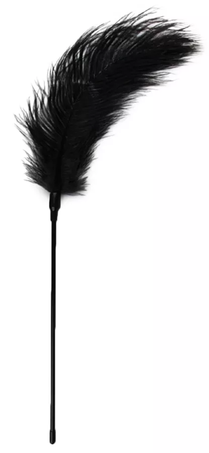 Federwedel Teasing 56cm Schwarz