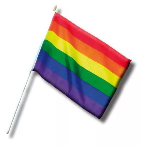 Mini Regenbogenflagge 20 x 30cm