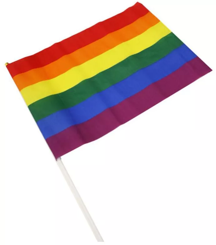 Rainbow-Flagge mit Stab 20 x 28cm