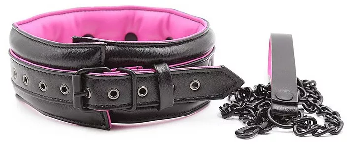 Halsband Leine Rosa