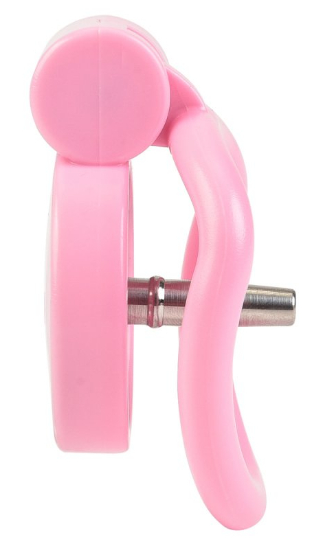 Cage avec plug Terhidy Rose 2.5 x 3.8 cm