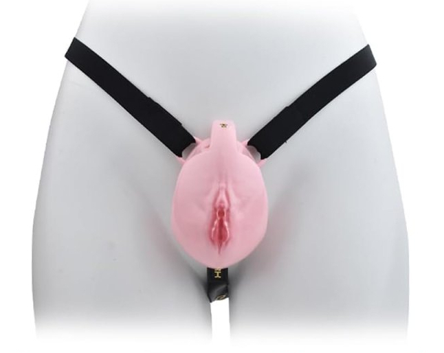 Cage de Chasteté avec Harnais Sislab 5.5 x 3.5cm Rose