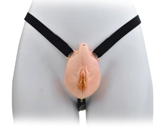 Cage de Chasteté avec Harnais Sislab 5.5 x 3.5cm Beige