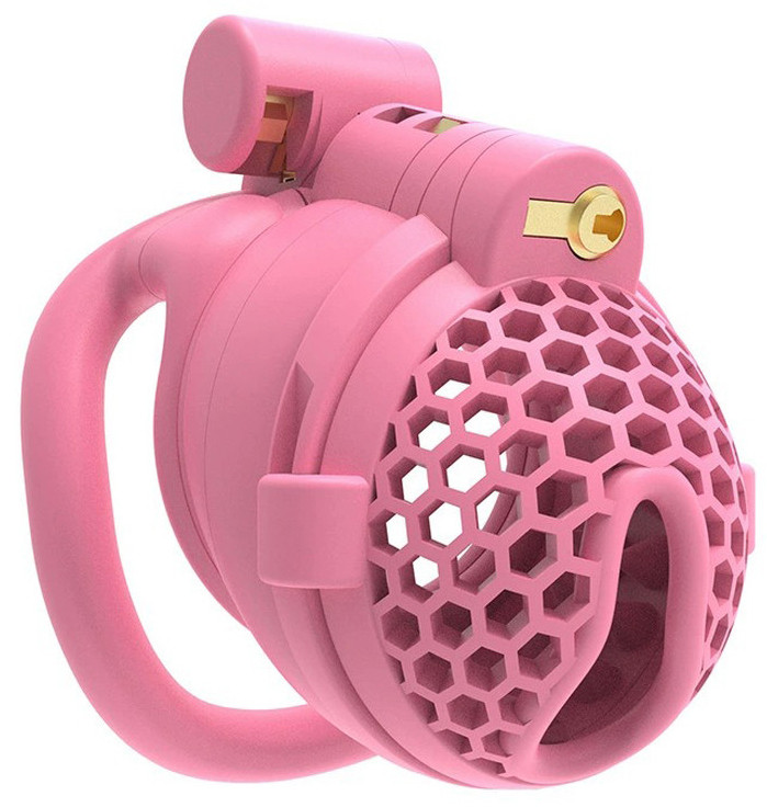 Cage avec Picots Hombick 6.5 x 3.2 cm Rose