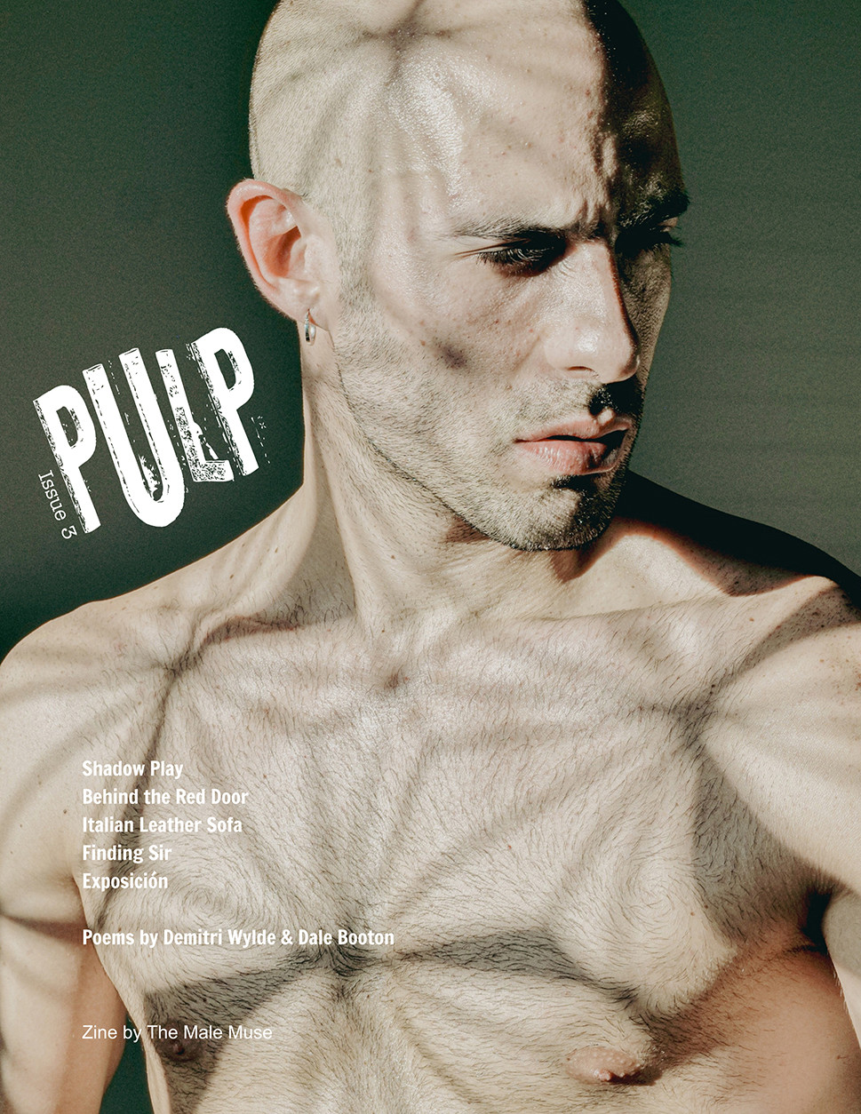 Livre photo PULP n3