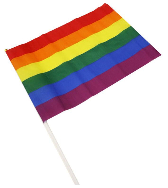 Drapeau Rainbow avec manche 30 x 43cm