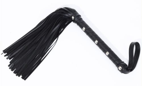 Zweep Nalhy 48cm Zwart