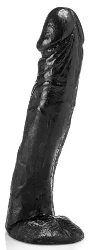 BT02 40 x 9,5 cm – 3/4