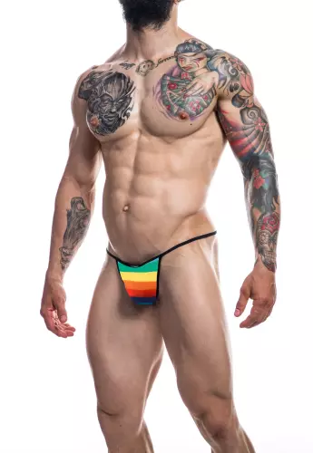 Slip sexy Briefkini Rainbow – 3/4